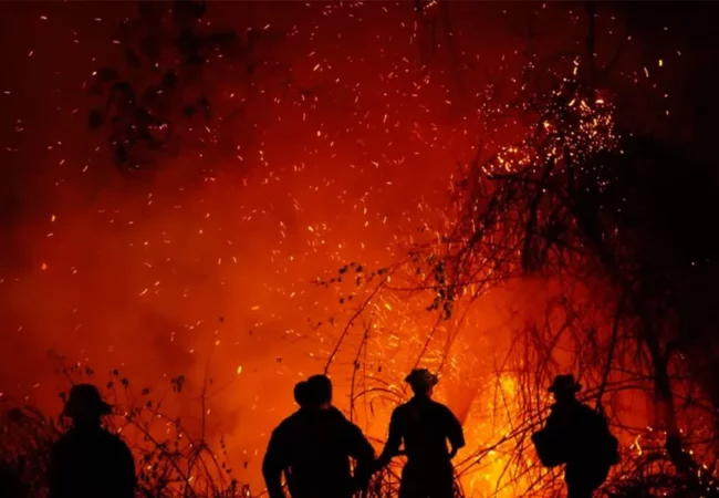 De la Espriella ordena conformar un grupo élite para perseguir a responsables de incendios