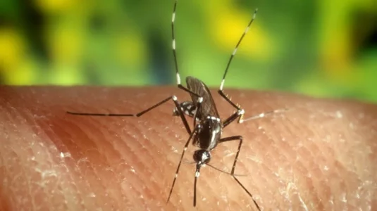Brasil registra el menor número de casos de malaria en casi 50 años